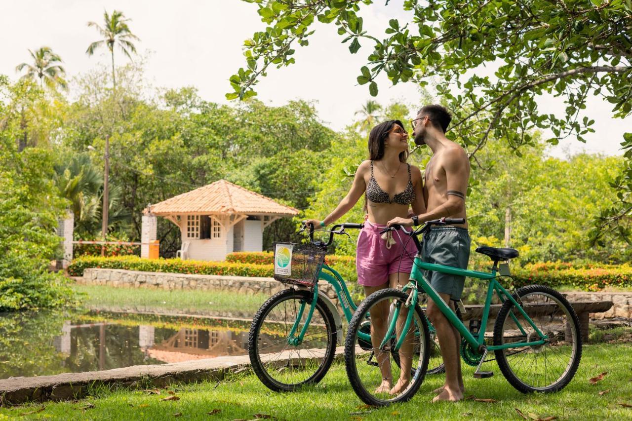 Eco Pousada Paraiso Dos Coqueirais Japaratinga Buitenkant foto