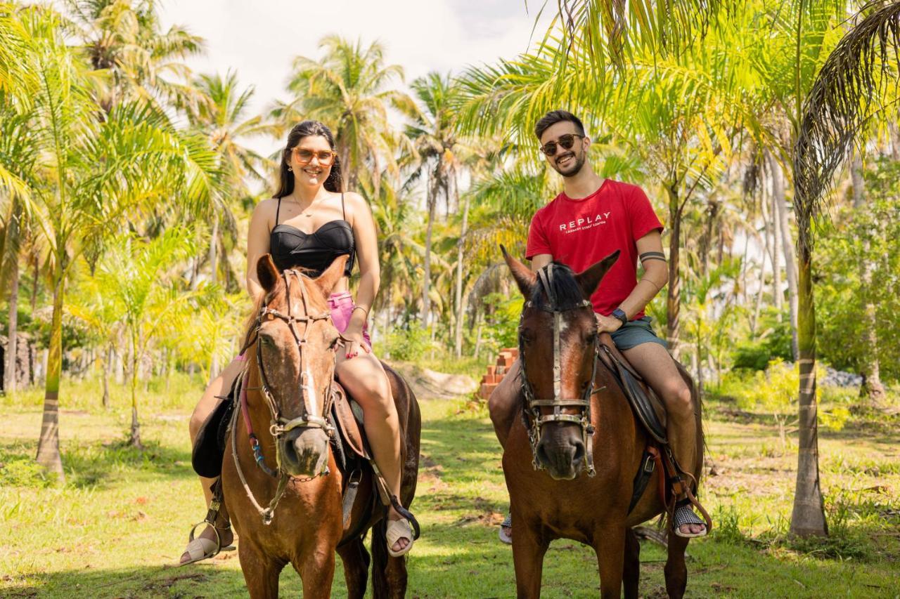Eco Pousada Paraiso Dos Coqueirais Japaratinga Buitenkant foto