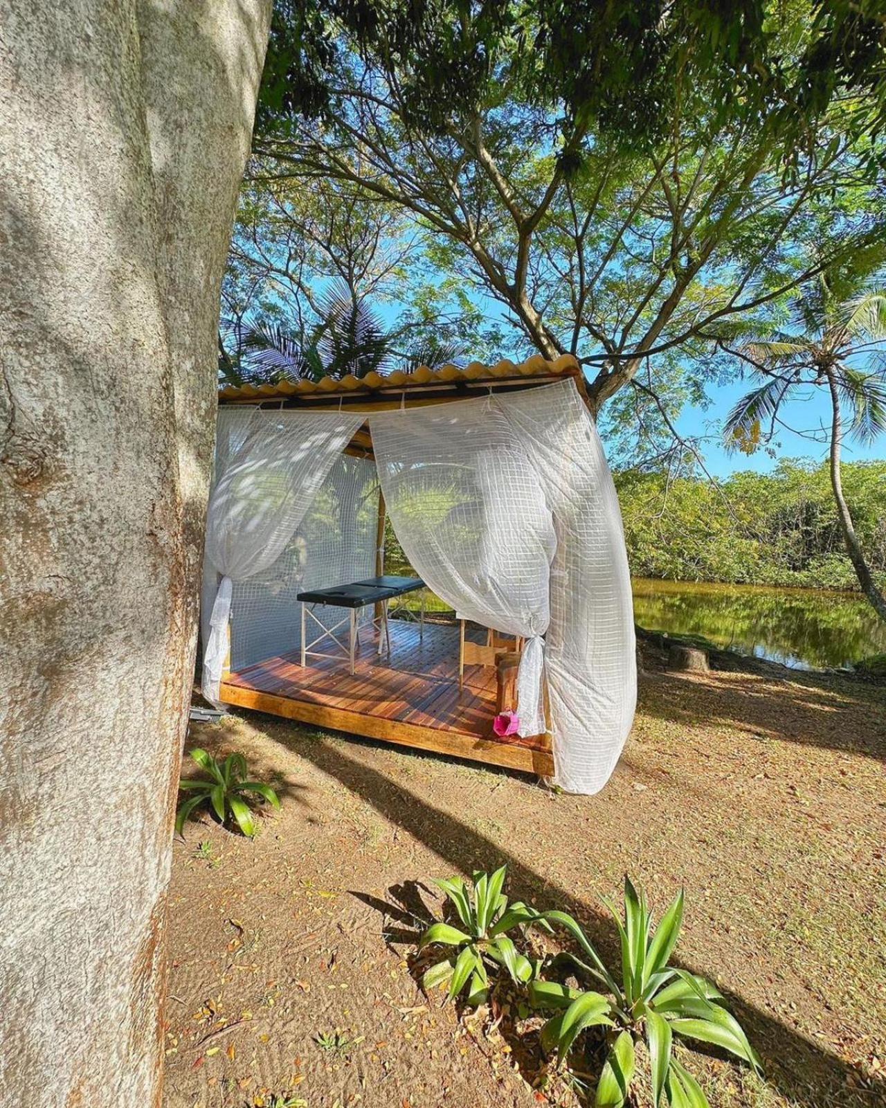 Eco Pousada Paraiso Dos Coqueirais Japaratinga Buitenkant foto