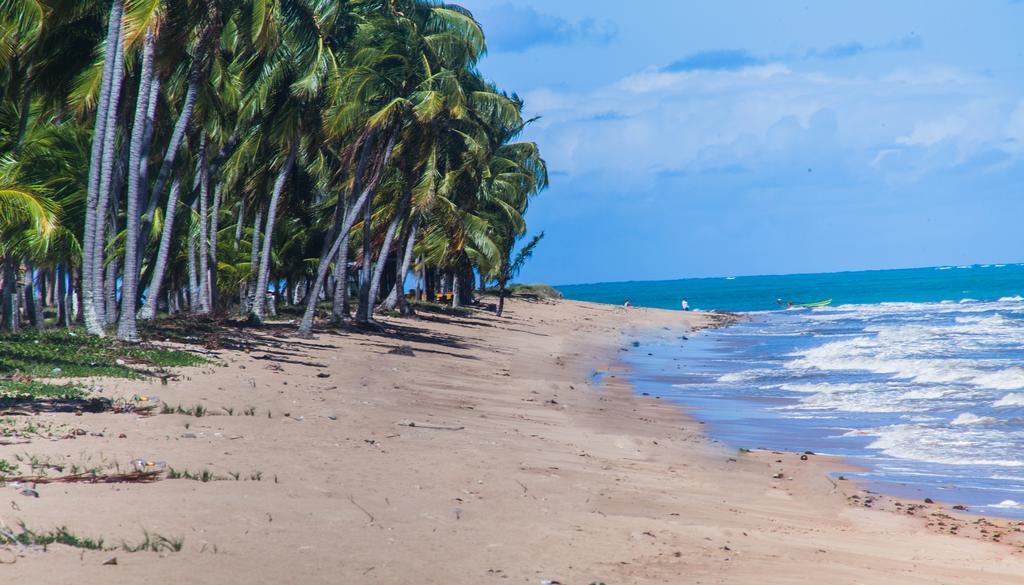 Eco Pousada Paraiso Dos Coqueirais Japaratinga Buitenkant foto