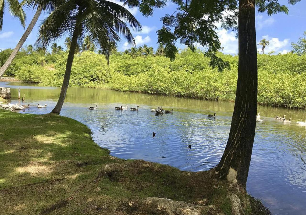 Eco Pousada Paraiso Dos Coqueirais Japaratinga Buitenkant foto