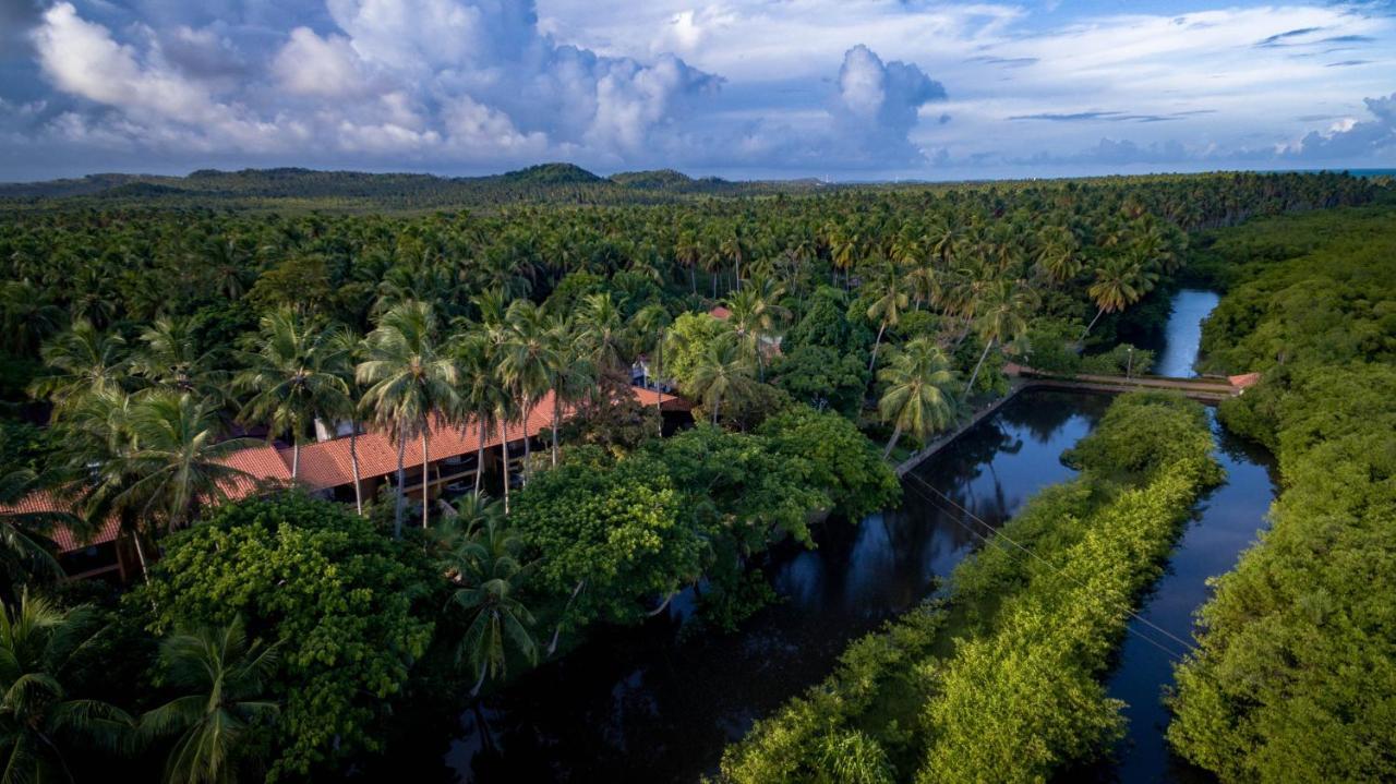 Eco Pousada Paraiso Dos Coqueirais Japaratinga Buitenkant foto
