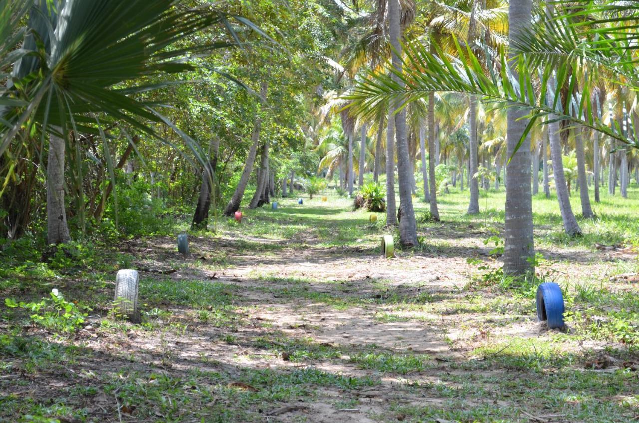 Eco Pousada Paraiso Dos Coqueirais Japaratinga Buitenkant foto